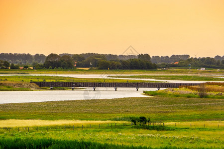 日落时在wateunen保护区的漫步桥荷兰泽布雷斯肯夏天受欢迎的预订图片