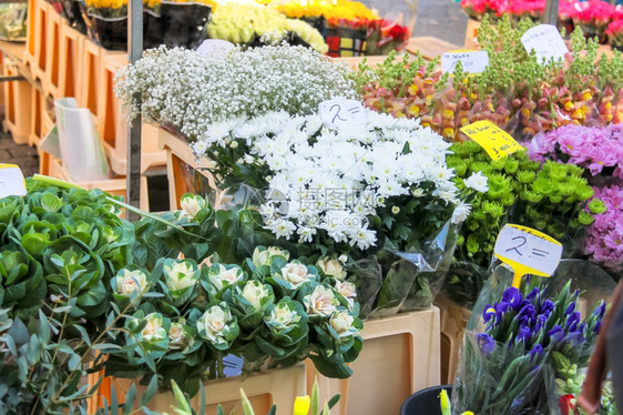 在荷兰花卉市场销售的鲜花荷兰商业盒子零售图片