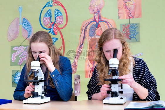 船只人们看两名天主教少女在生物室用挂图通过显微镜观察生物学课堂上的情况图片
