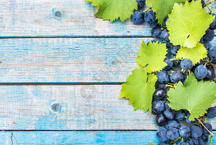 甜的蓝色旧板上葡萄和绿叶木桌上的一串葡萄复制空间蓝色旧板上的葡萄和绿叶木桌上的一串葡萄团体庄稼图片