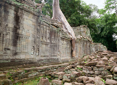 建造位于吴哥的PreahKhan寺庙在东南亚暹粒的古老地标和礼拜场所游客中很受欢迎柬埔寨PreahKhan寺庙被丛林吞没历史拥有图片