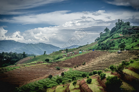 叶子云风景优美MonChamMonJam山的美丽自然MaeRim泰国Chiangmai著名的旅游地点图片