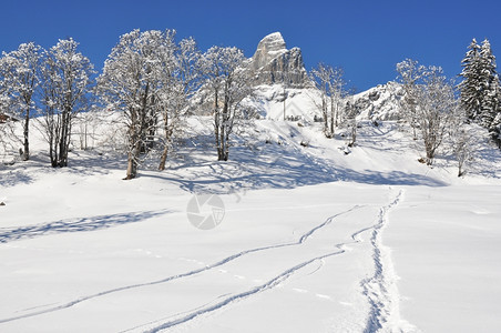 冬季雪景风光图片