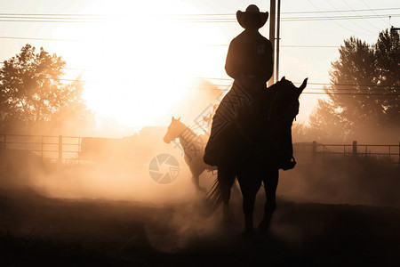 头发日落的太阳休谢马背上骑手古洛士罗德奥达斯地帝竞技场荒野帽子图片