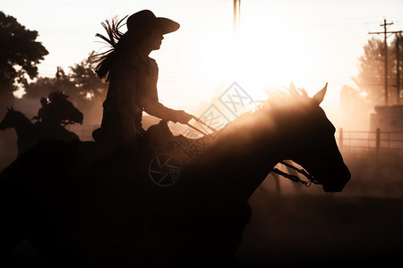 冒险男人日落的太阳休谢马背上骑手古洛士罗德奥达斯地帝竞技场哺乳动物图片