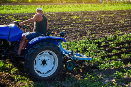 农场民在拖拉机上耕种马铃薯植场农用工业和机械作物护理土壤质量改善耕地作和松开面工在职的农田图片