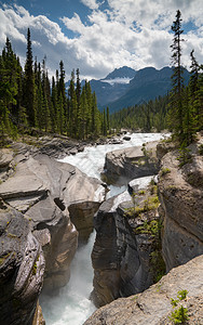 生物群落加拿大艾伯塔省冰田公园道Banff公园MistayaCanyon生物圈当前的图片