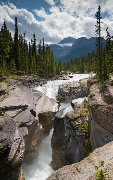 生物群落加拿大艾伯塔省冰田公园道Banff公园MistayaCanyon生物圈当前的图片