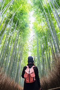 环境年轻女在日本京都旅游观光景点受欢迎的亚间旅游概念在日本京都旅游观光景点上寻找成野竹森林里程碑亚洲快乐旅行者Arashiyam图片