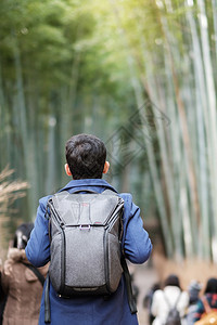 植物在日本京都旅游观光景点很受欢迎的亚洲旅行概念校对PortnoyThomaBanbooGroveArashiyamaBambo图片