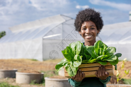享受满意非洲男孩在温室环境保护绿色地球日园艺有机农业等各种主题的前面收获后拿着一篮木子生菜蔬沙拉展示给非洲男孩看c以绿色有机农业图片