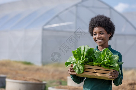 简单的非洲男孩在温室环境保护绿色地球日园艺有机农业等各种主题的前面收获后拿着一篮木子生菜蔬沙拉展示给非洲男孩看c以绿色有机农业为图片