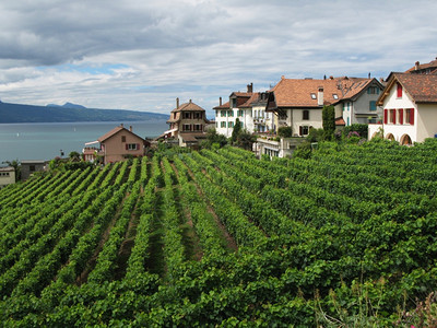 与日内瓦瑞士湖对抗的拉沃地区著名葡萄园村庄秋天成熟图片