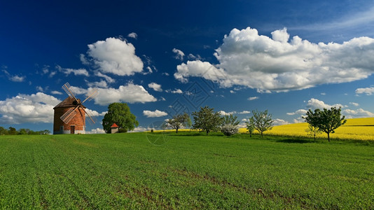 美丽的春天风景有蓝空太阳云和老风车捷克共国欧洲树优质的风车捷克语图片