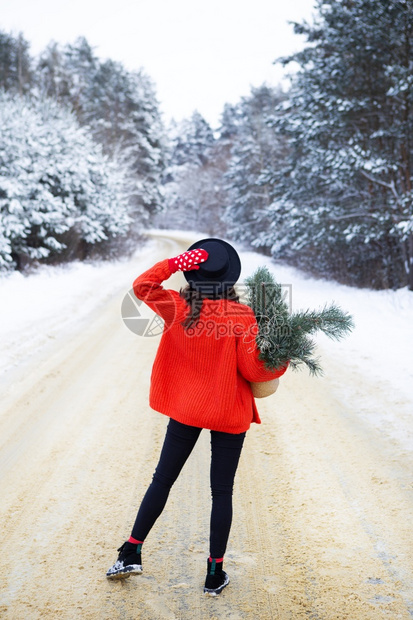 肖像一个穿着红色毛衣和帽子的女孩站在雪道中间松枝的森林里周末旅行穿着红色毛衣和帽子的女孩站在雪道中间松枝的森林里周末旅行一种圣诞图片