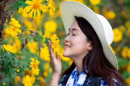 亚洲女喜欢在黄色花园里观看和闻着清澈的花朵墨西哥向日葵女在黄色花园里爬坡道场地自由图片