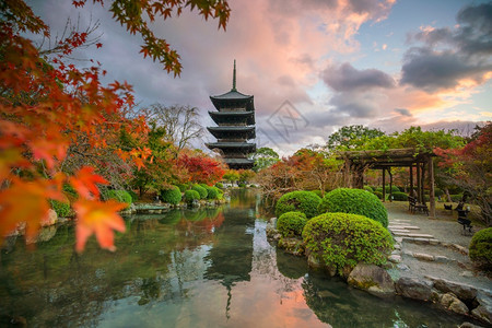 日本京都秋色的TojiKyoooGokokuji寺庙木塔反射关西自然图片