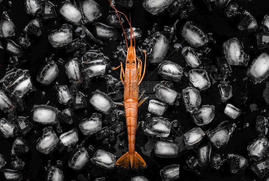 异国情调在中间的虾周围环绕着一片黑底冰块色背景的冰块准备甲壳类动物图片