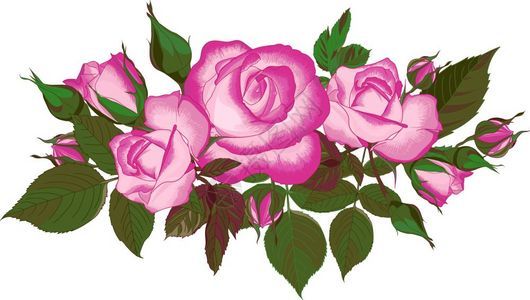 粉红玫瑰贺卡最佳奖婚礼邀请生日和暑假夏季背景的成套花束矢量盒式粉红色玫瑰最佳贺卡结婚邀请生日和假为了华丽的玫瑰花蕾图片