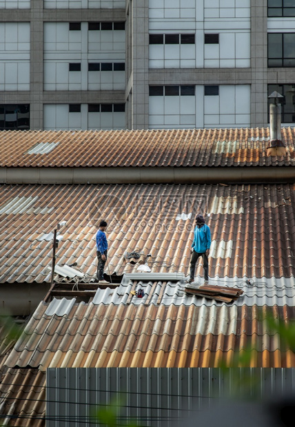 爬承包商装修泰国曼谷201年5月8日两名打杂工人在被损坏的工厂屋顶上修理瓷砖图片