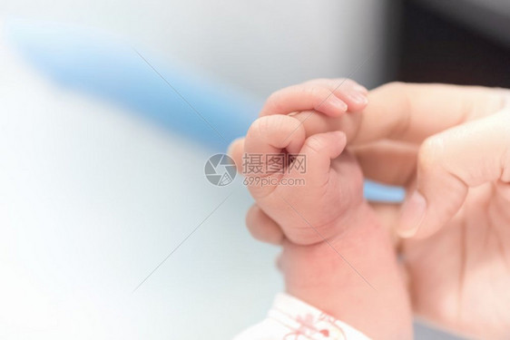 可选择的为人父母重点新生儿手握母亲指在医院婴儿和保健概念选择焦点和白色小插图复制空间和白图片