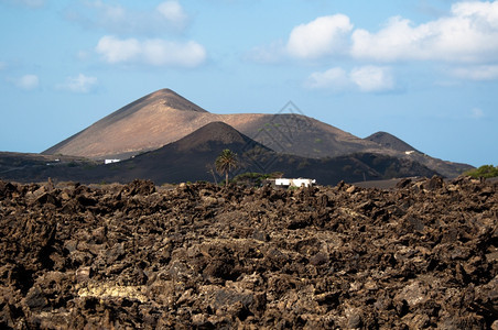 场景海洋典型的兰萨罗特风景其背为火山土壤棕榈白屋和山丘西班牙加那利群岛兰萨罗特旅行图片