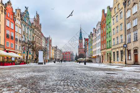 抛光长市波兰的Gdansk有名的街道波兰Gdansk有名的街道海鸥城市图片