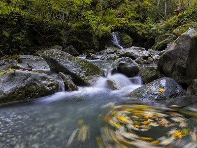 瀑布岩石上有落叶草地流水步行全景风图片