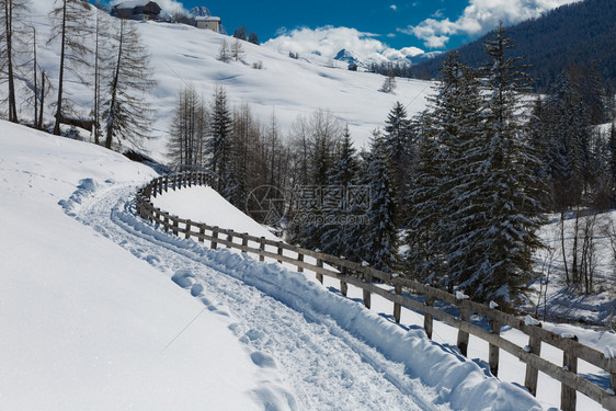 冬季雪地风光图片