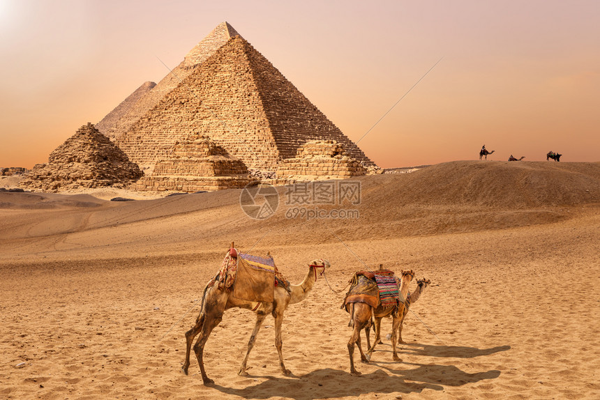贝都因人埃及Giza沙漠的金字塔和骆驼埃及Giza沙漠的金字塔和骆驼世界纪念碑图片