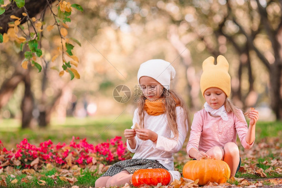 天气灰色的秋温暖阳光明媚的日落露天户外可爱的小姑娘们在秋天的吸引人图片