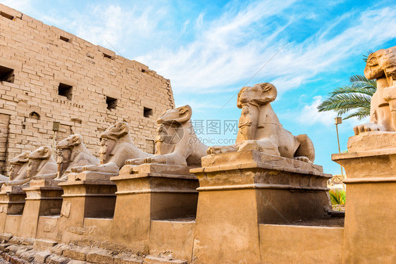 夏日在卢克索卡纳寺的埃及斯芬之罗结石底比斯夏天图片