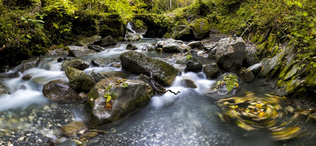 徒步旅行阿尔卑斯山瀑布岩石上有落叶草地流水观光图片