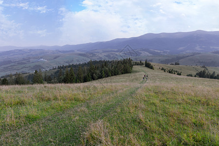旅行者景观小路沿山顶的公上一群游客在山地夏季风景背下游来喀尔巴阡山脉和穿过丘的公路景色美观以及卡帕提亚山脉和经过丘的公路图片