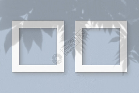 热带花园蓝色墙壁背景上的两张方形白色纹理纸样机覆盖植物阴影自然光从异国植物的叶子上投射阴影平躺顶视图蓝色墙壁背景上的两张方形白色图片