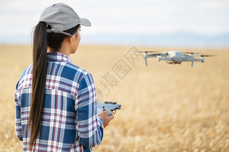 管理摄影土地女农用控制器在麦田上空飞行无人机用现代技术检查生产力高质量照片女农用控制器在麦田上空飞行无人机用现代技术检查生产力图片