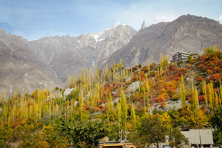 绿色蓝的爬坡道巴基斯坦北部Hunza山谷与Karakoram山脉和蓝色天空GilgitBaltistan的多彩森林树木自然景观图图片