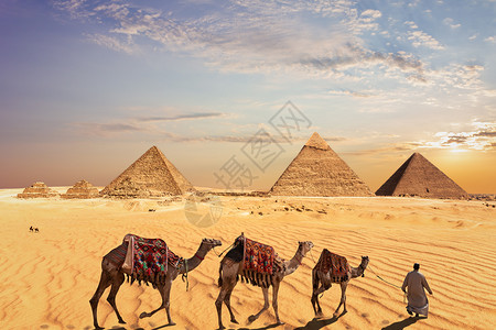 教科文组织地标埃及吉萨大金字塔附近的骆驼商队埃及吉萨大金字塔附近的骆驼商队传统图片