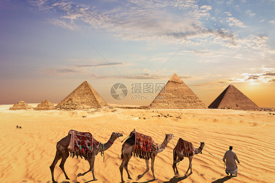 教科文组织地标埃及吉萨大金字塔附近的骆驼商队埃及吉萨大金字塔附近的骆驼商队传统图片
