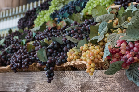 果汁植物在Wicker篮子中的一连串有色葡萄供出售农业图片