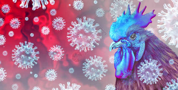 鸡胸脯肉鸟类流感和稀有菌株感染牲畜作为鸡和家禽全球传染病爆发和疾控制概念或农业公共安全标志的3D插图要素健康风险作为养鸡和家禽带有3D说设计图片