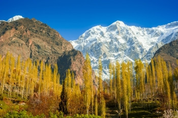 巴基斯坦北部地区秋季的Hunza山谷美丽的地貌景观天气森林河图片