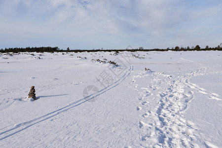 冬季雪地风光图片