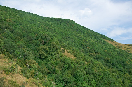 天空爬坡道土地夏季高加索山脉黑海沿岸地区图片