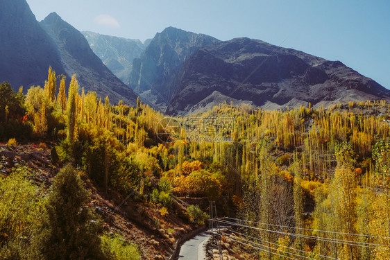 巴基斯坦GilgitBaltistan的古皮斯山谷风景美丽秋季树木多彩与巴基斯坦吉尔特俾提斯坦的兴都库什山脉对抗荒野丰富多彩的阳图片