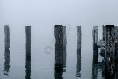 德国科尼格西湖薄雾中木桩在失落的木桩上码头景象令人惊叹旅游宁静图片