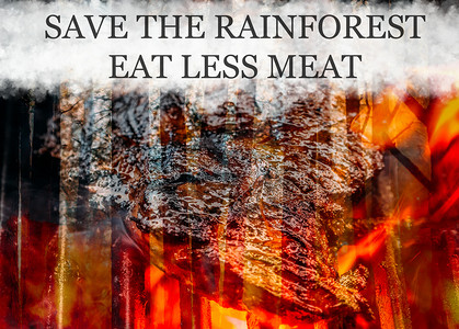 烧焦野火巴西松木林与烧烤炉上的肉饼一起燃烧松木林火通过食用较少的肉松木林火和烧烤炉上的肉馅来节省雨林概念拯救图片