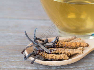 健康草本植物传统的这是种草药放在木勺子上一杯隔绝背景的紧固水杯前有机药品局NationalOrgansemedicines图片