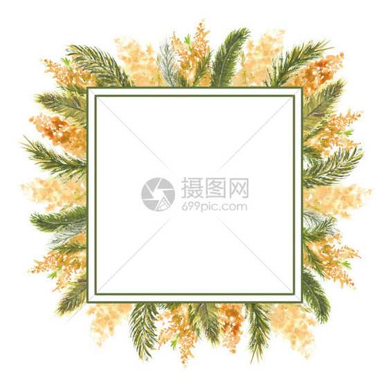 植物群明亮的横幅以白色孤立背景的Mimosa分形为外缘米莫萨边缘米莫萨分形为外部边缘白孤立背景水彩色插图的几何方格框水彩色插图图片