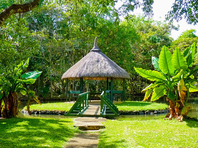 毛里求斯岛庞普勒穆塞西沃萨古尔拉姆兰爵士植物园夏天庞普勒穆斯湖图片